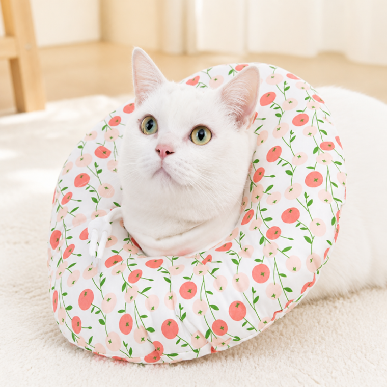 고양이 넥카라 목쿠션 반려동물 보호 튜브 깔때기 핥기방지