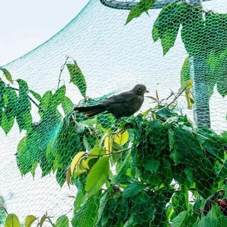 새 그물 프리미엄 방조망 농작물 케어 참새 비둘기2x5M