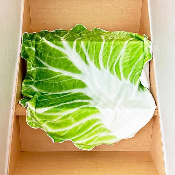 배추담요 웃긴담요 특이한담요 블랭킷 선물