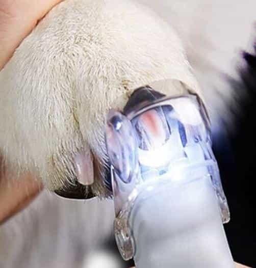 강아지 고양이 LED 발톱깎이 반려동물발톱깎기 고양이셀프미용 강아지클리퍼