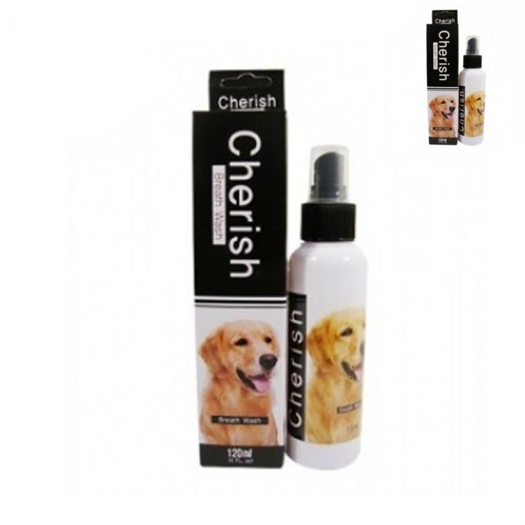 강아지 구강청정제 120ml 강아지치아영양제 강아지치아관리 강아지구취제거