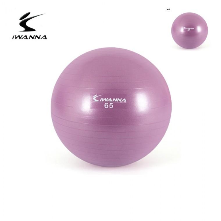 짐볼 65cm 라일락 임산부짐볼 선수용짐볼 헬스장짐볼