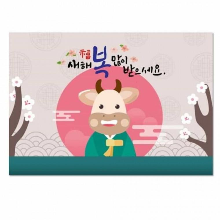 미술만들기키트 새해소 인사연하장