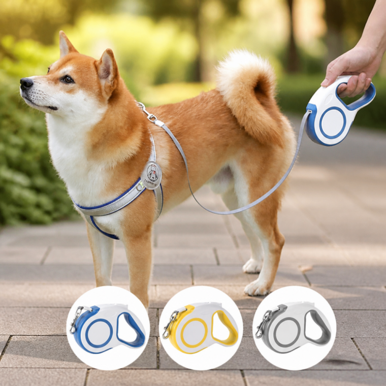 반려동물 산책줄 강아지 고양이 자동 리드줄 색상별 옵션