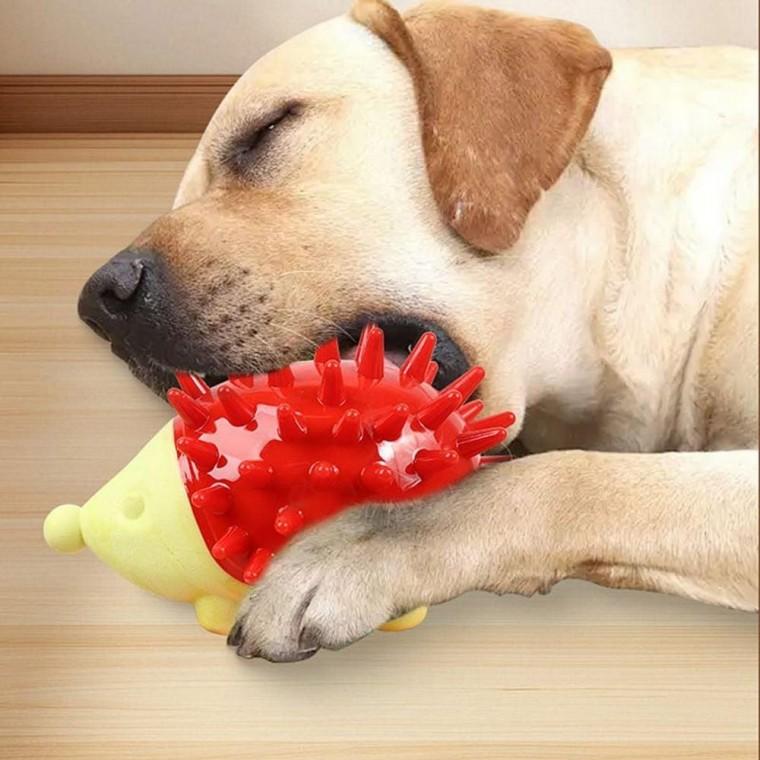 EA 소리나는 고슴도치 장난감 애견용품 강아지 고양이 놀이