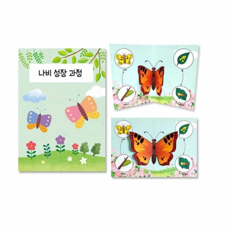 동화책만들기 나비 관찰 팝업북 만들기
