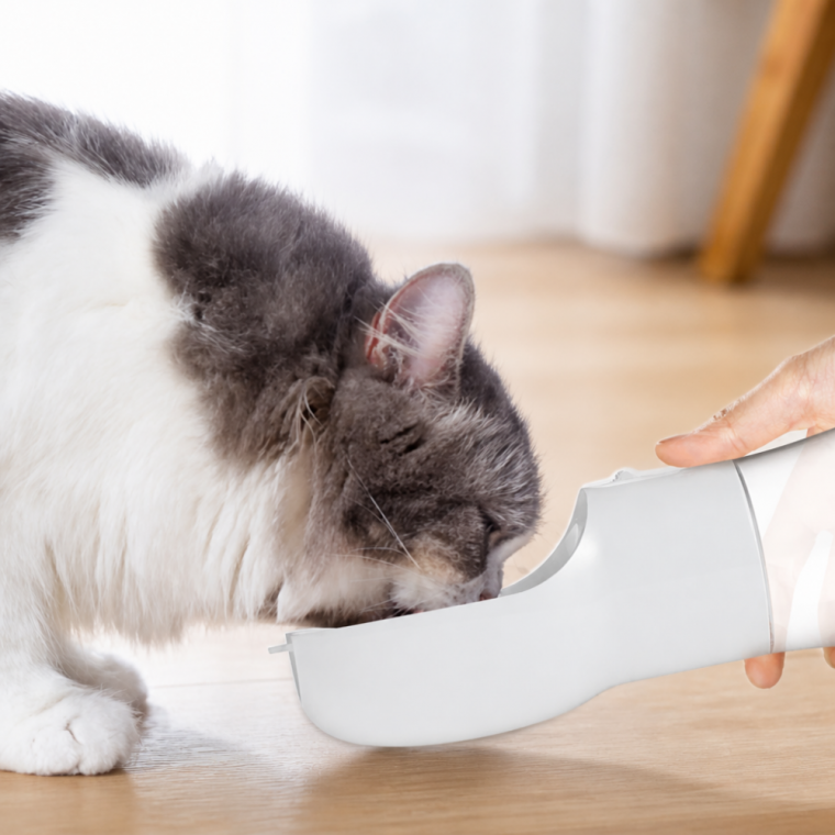 강아지 고양이 휴대용 급수기 반려동물 산책 물통 식기