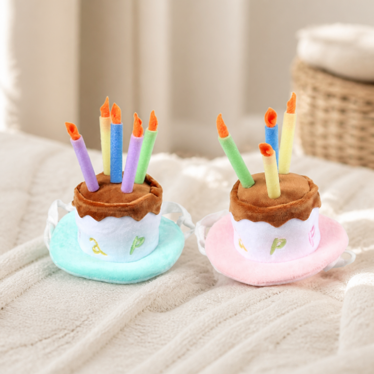 반려동물 생일파티 고깔모자 강아지 케이크 생일 용품