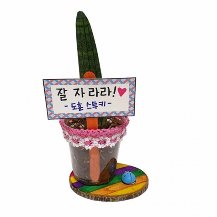 식물기르기 스투키 레이스화분 만들기