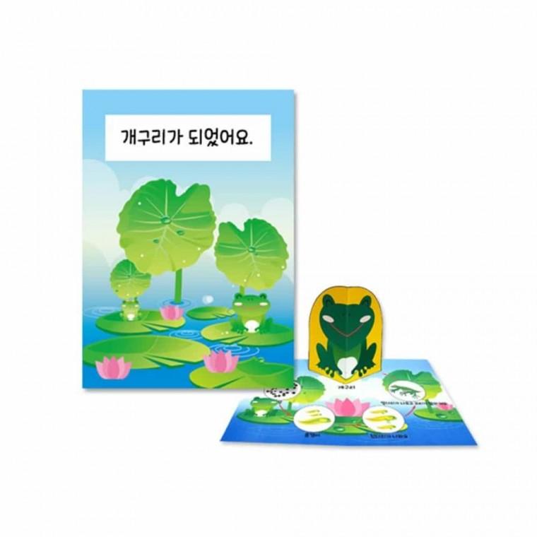 팝업북만들기 개구리 관찰 팝업북 만들기