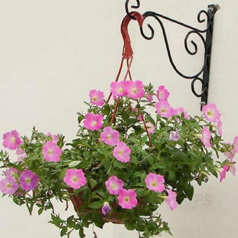 화분걸이 25cm 화이트 홈가드닝 벽면인테리어 셀프인테리어 행잉식물 철제벽걸이
