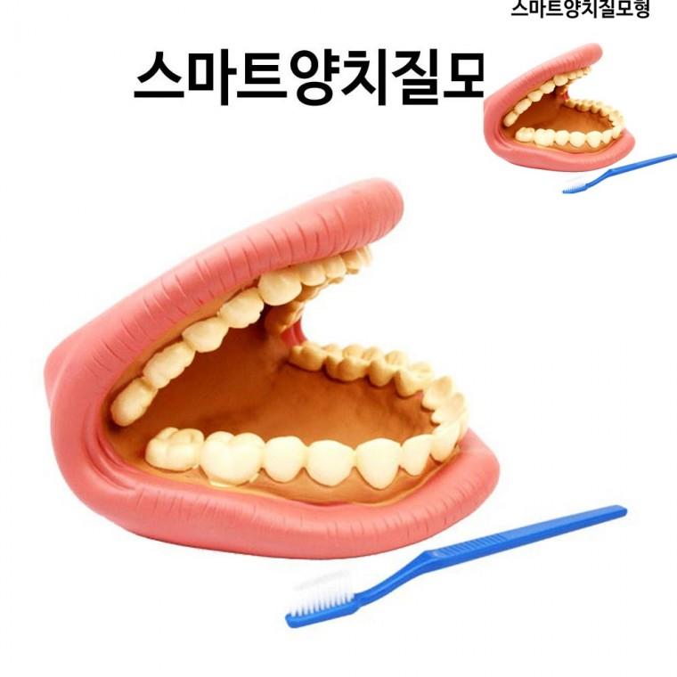 스마트 양치질 모형 과학실험세트 과학실험키트 과학체험교구