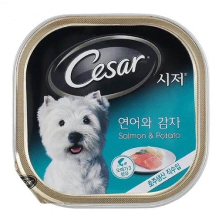 강아지 시저 연어 감자캔 100g 1P 애견 습식 사료