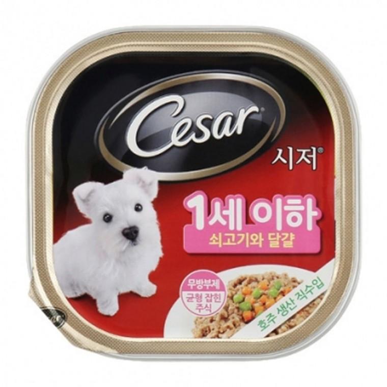 강아지 시저 퍼피 소고기 달걀캔 100g 1P 습식 사료