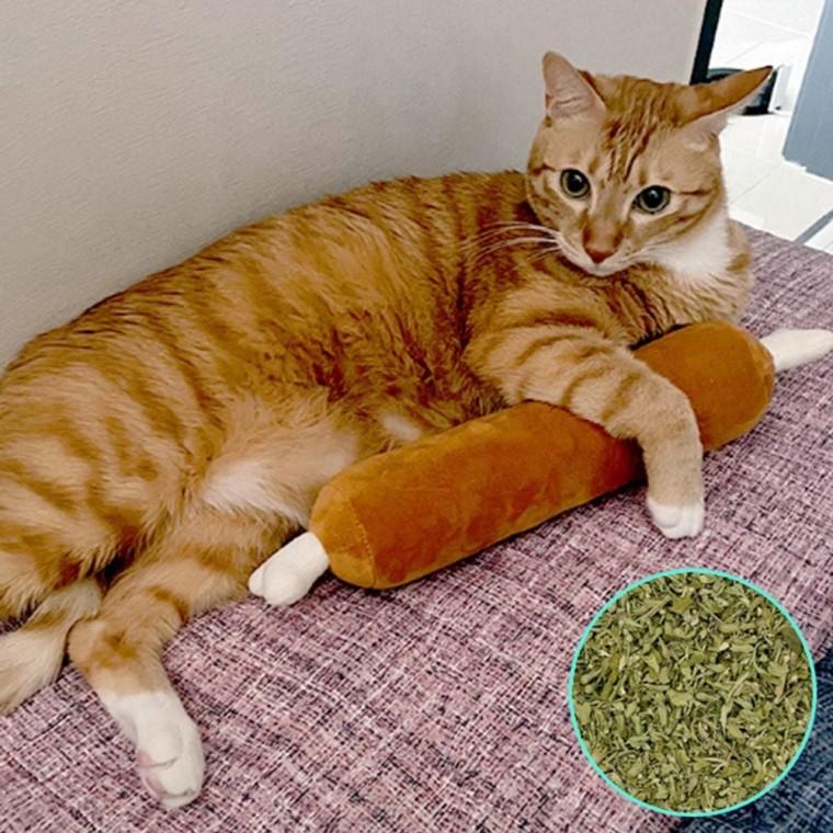 고양이 캣닢 봉제 인형 롱바베큐 1P 애착 장난감 토이