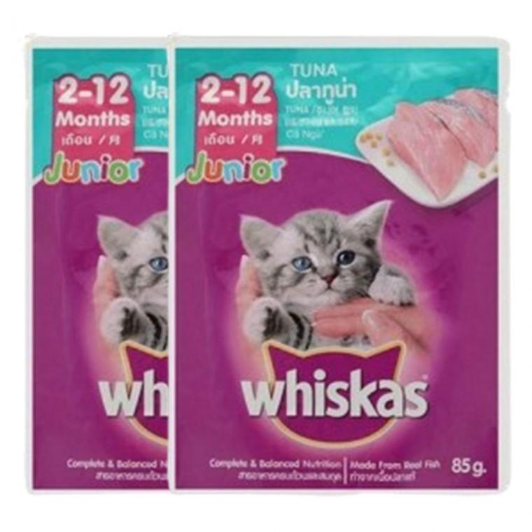 반려묘 습식 사료 주니어 참치 80g 2P 주식 파우치