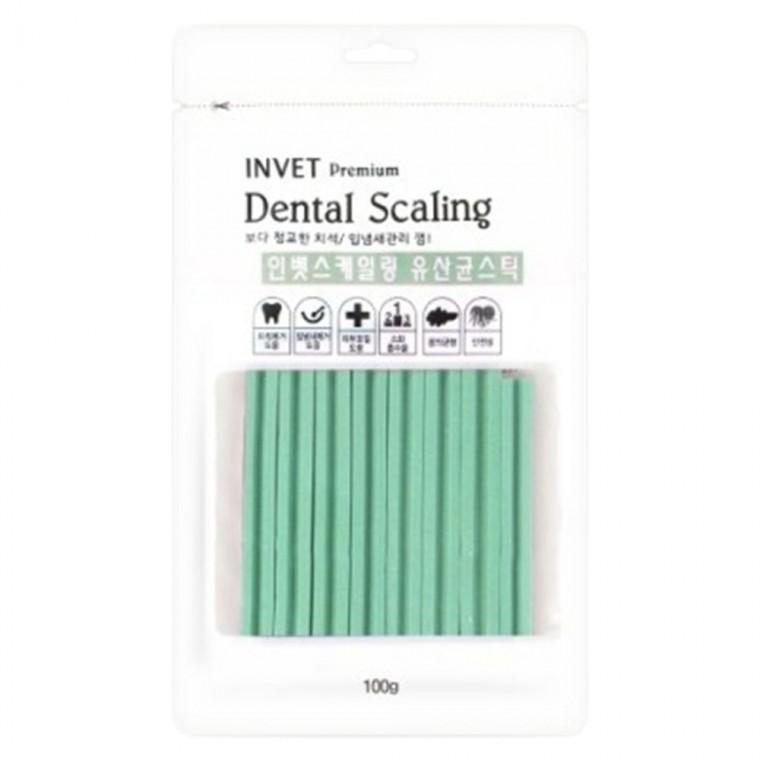 강아지 덴탈 유산균 스틱 100g 1P 애견 치석관리 간식