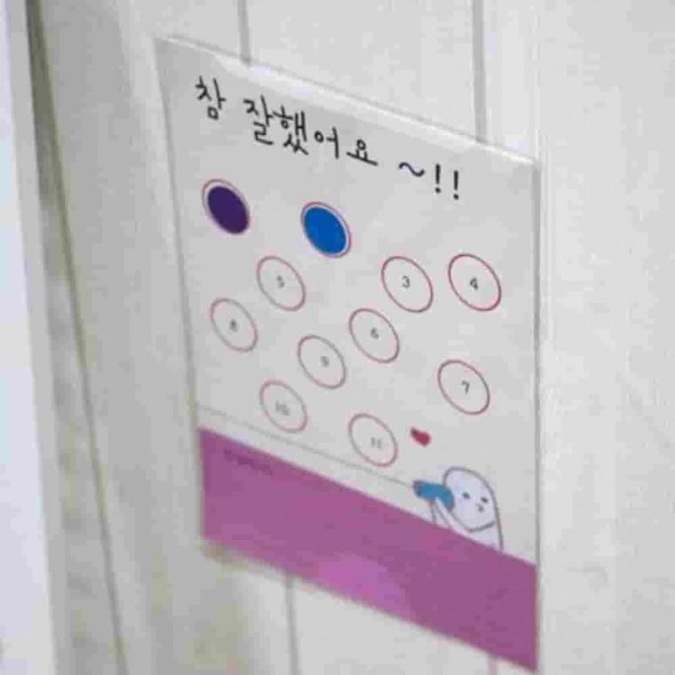 10매 A5사이즈 스티커 알림판 스티커포켓 벽걸이수납 부착식수납 투명포켓