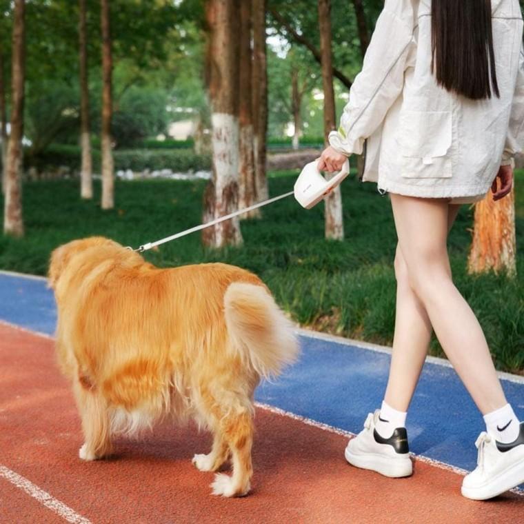 EA 강아지 자동 리드줄 외출용품 산책줄 목줄 반려동물 애견용품