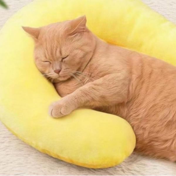 베개 고양이 강아지 사계절 장난감 소형 애견 방석 목 애견 강아지 담요