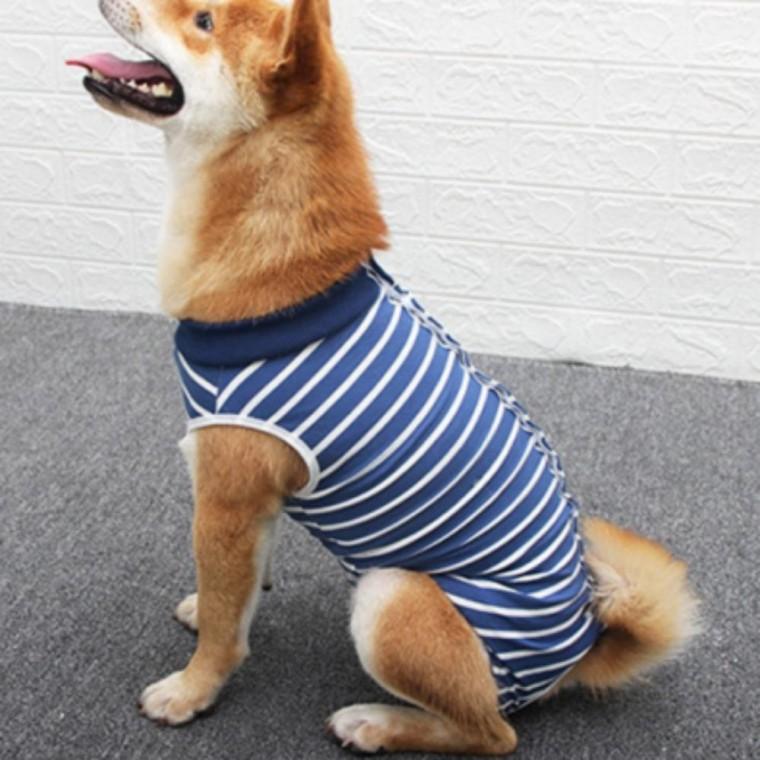 강아지 고양이 중성화 수술복 보호복 대형견 중형견 환자복