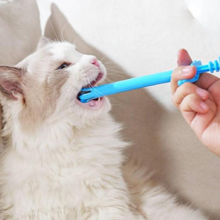 반려동물 알약 안심 투여기 강아지 고양이 투약기 먹이기 보조기