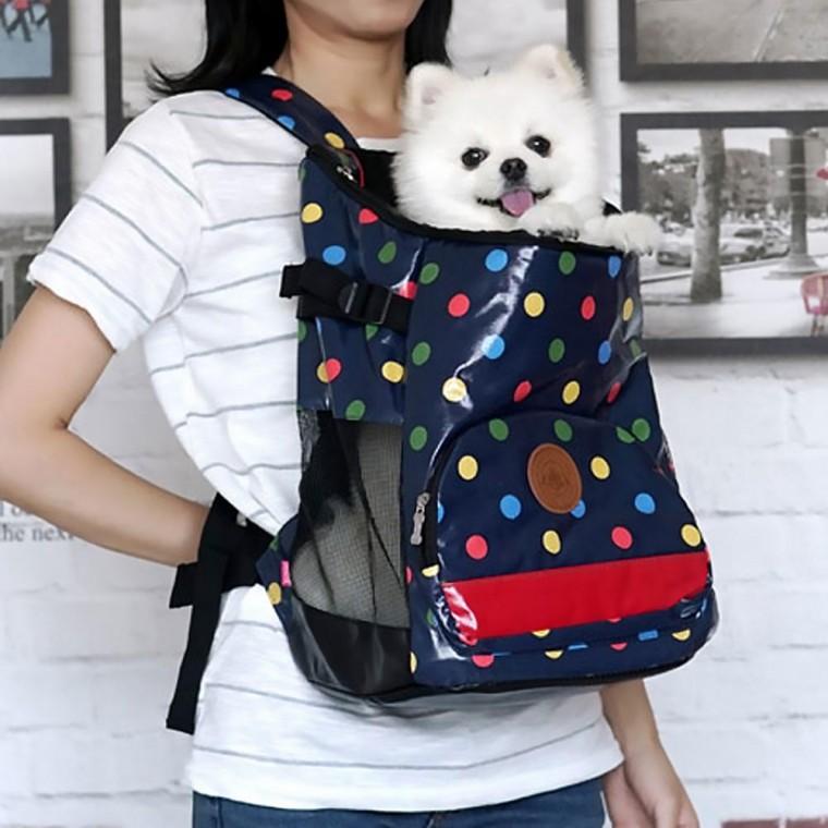 애완견가방 블루 소형견이동가방 반려동물가방 강아지배낭