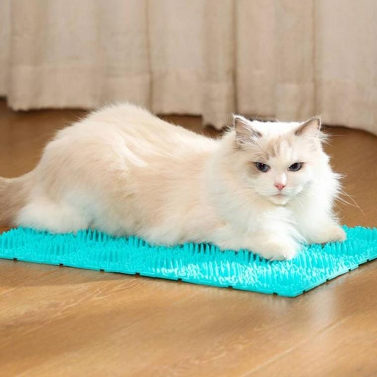 고양이 스크래치 넉넉한 패드 가로형 카펫 바닥 마사지 브러쉬 반려용품