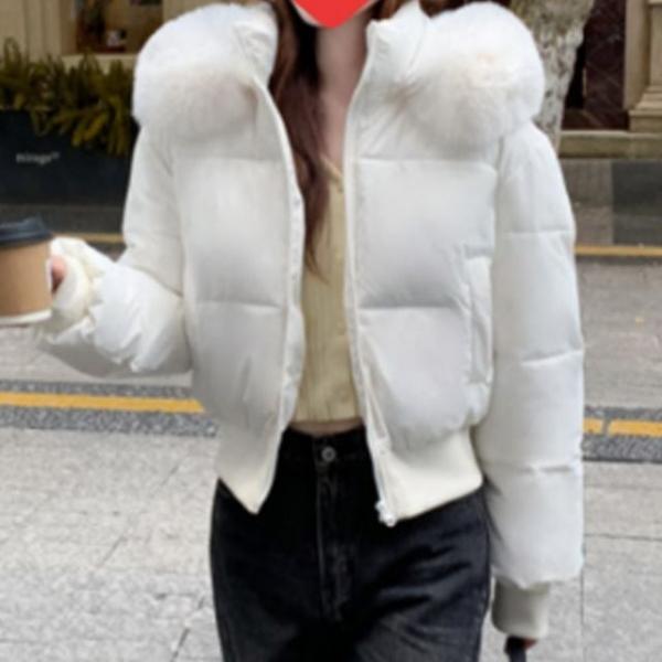 여성 하이넥 퍼후드 크롭 숏패딩 겨울 점퍼 크림 1P 허리 라인 잠바