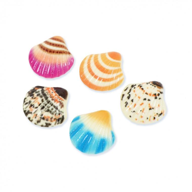 인테리어용 조개 냉장고자석 5p