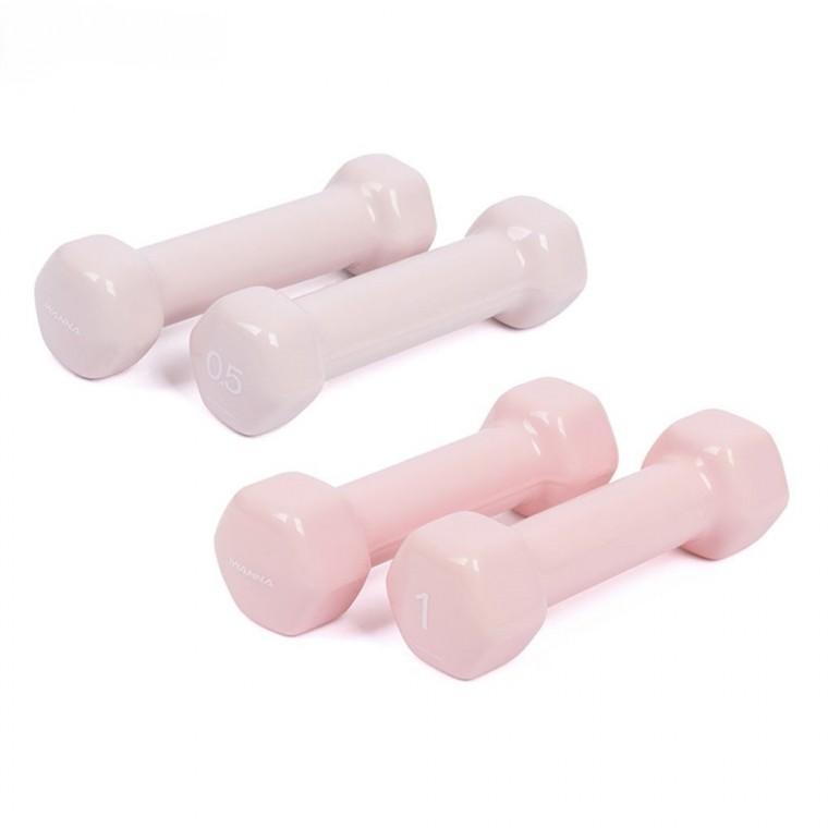아이워너 PVC 뷰티 육각 덤벨 0.5kg 1kg
