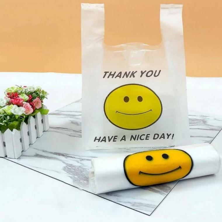 포장 비닐봉투 33x51cm 100P 쇼핑비닐봉투 배달봉투