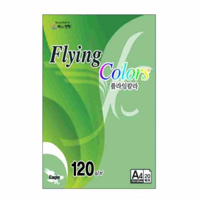 플라잉칼라 어린풀색 A4 120g 20매 복사용지 복사지 A4종이 색지