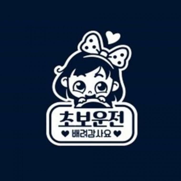 자동차스티커 화이트 초보운전표시 초보운전유리스티커 차량스티커