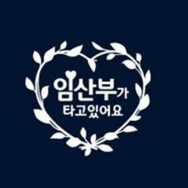 자동차스티커 임산부차량스티커 임산부스티커 임산부가타고있어요