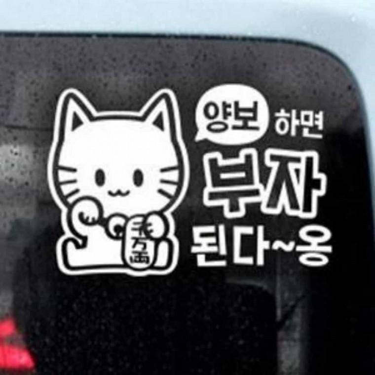 자동차스티커 자동차데칼스티커 초보운전선물 초보운전스티커