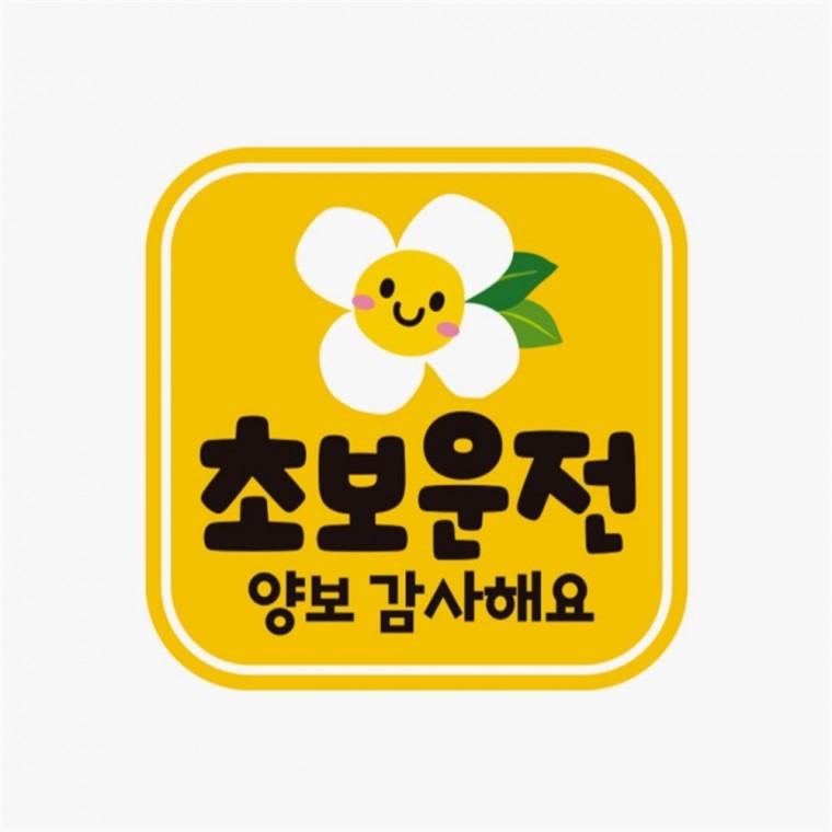 초보운전 양보감사3 고휘도반사 자석 자동차스티커 임산부운전스티커 양보운전스티커 고령운전자스티커