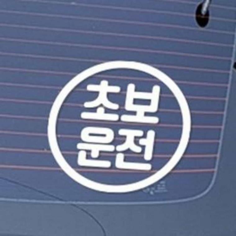 자동차스티커 화이트 초보스티커 자동차창문스티커 안전운전