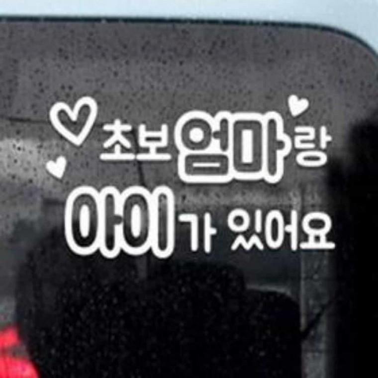 자동차스티커 안전스티커 자동차안전용품 초보운전스티커