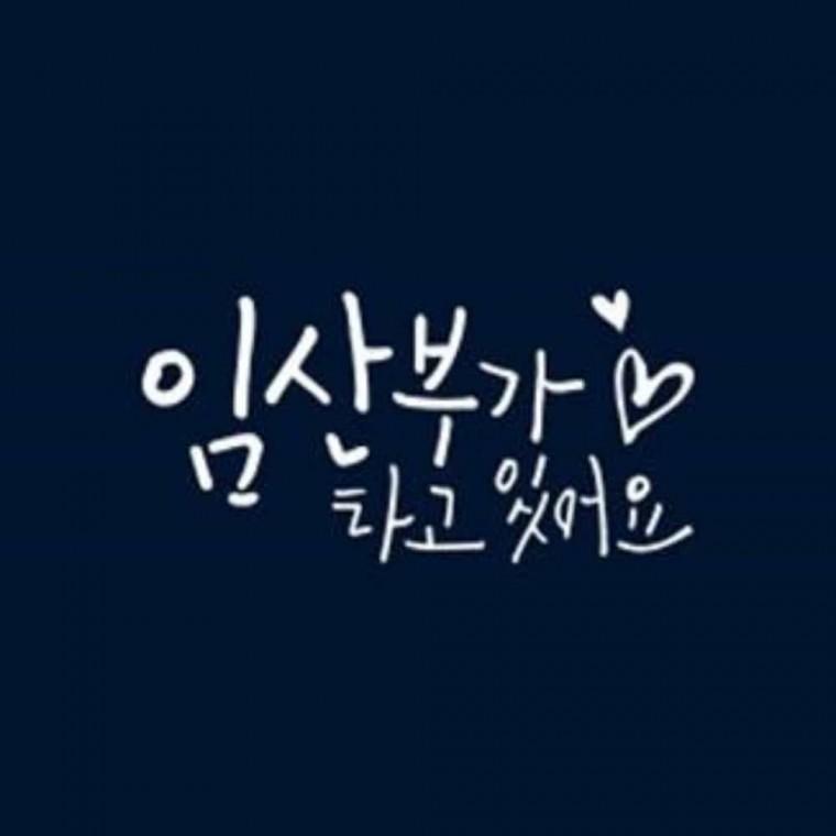 자동차스티커 화이트 교통안전스티커 창문스티커 글자스티커