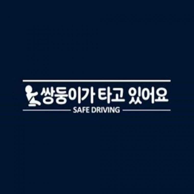 자동차스티커 화이트 왕초보스티커 차량아기스티커 차량스티커
