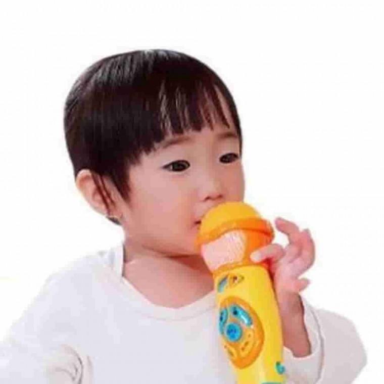 빅 마이크 사운드북 사운드장난감 무선마이크 소리나는마이크장난감