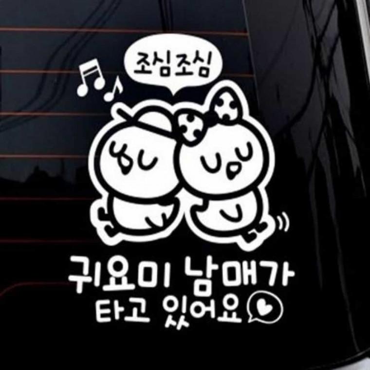 자동차스티커 안전반사스티커 차량후면스티커 babyincar남매자동차스티커