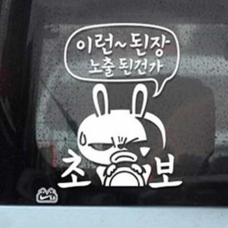 자동차스티커 자동차레터링 왕초보운전 차량용스티커