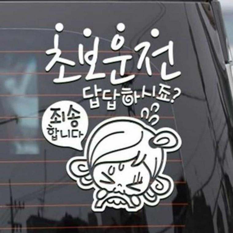 자동차스티커 초보운전스티커 안전운전스티커 차량양보스티커