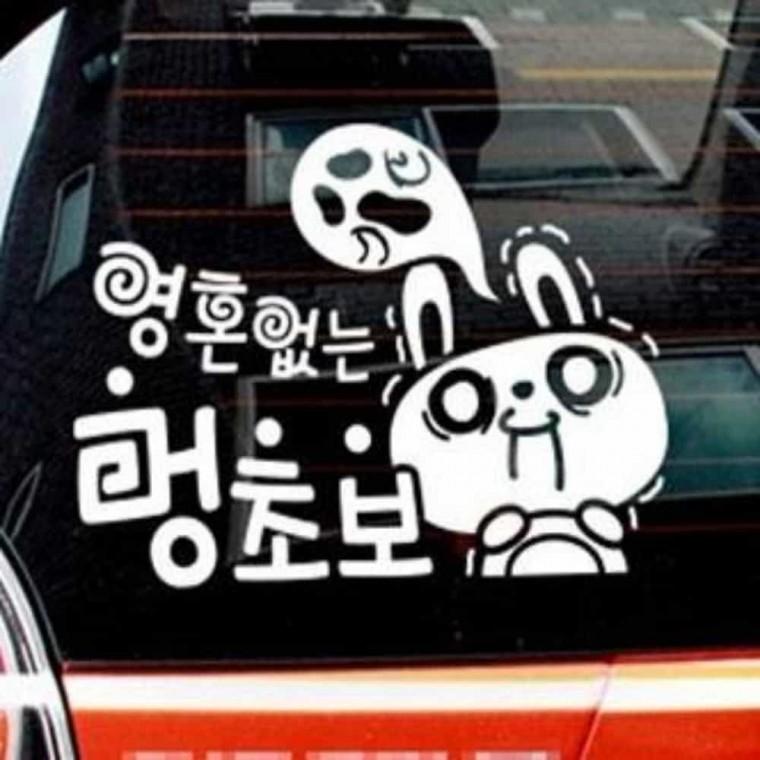 자동차스티커 안전거리확보 안전거리유지 차량시트지