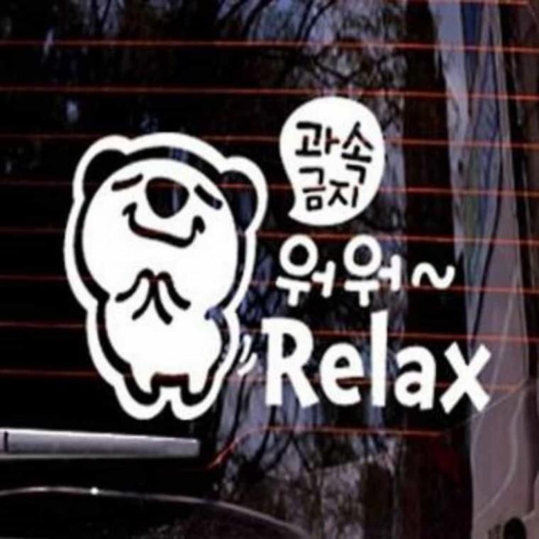 자동차스티커 차량에붙이는스티커 차량용스티커 재밌는초보운전스티커