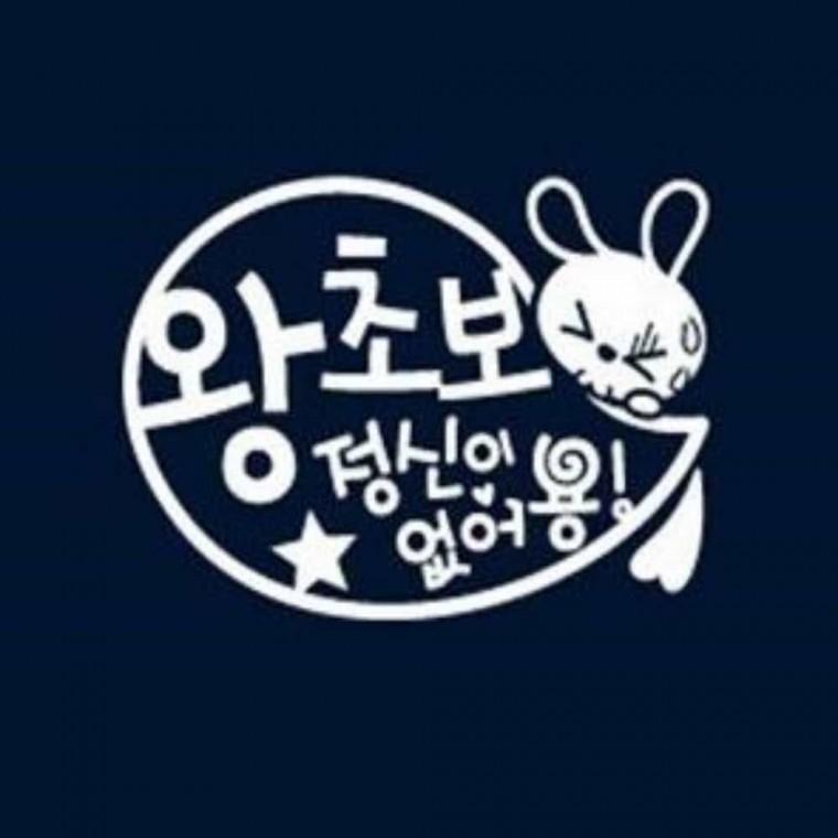 자동차스티커 자동차창문스티커 자동차데코스티커 글자스티커