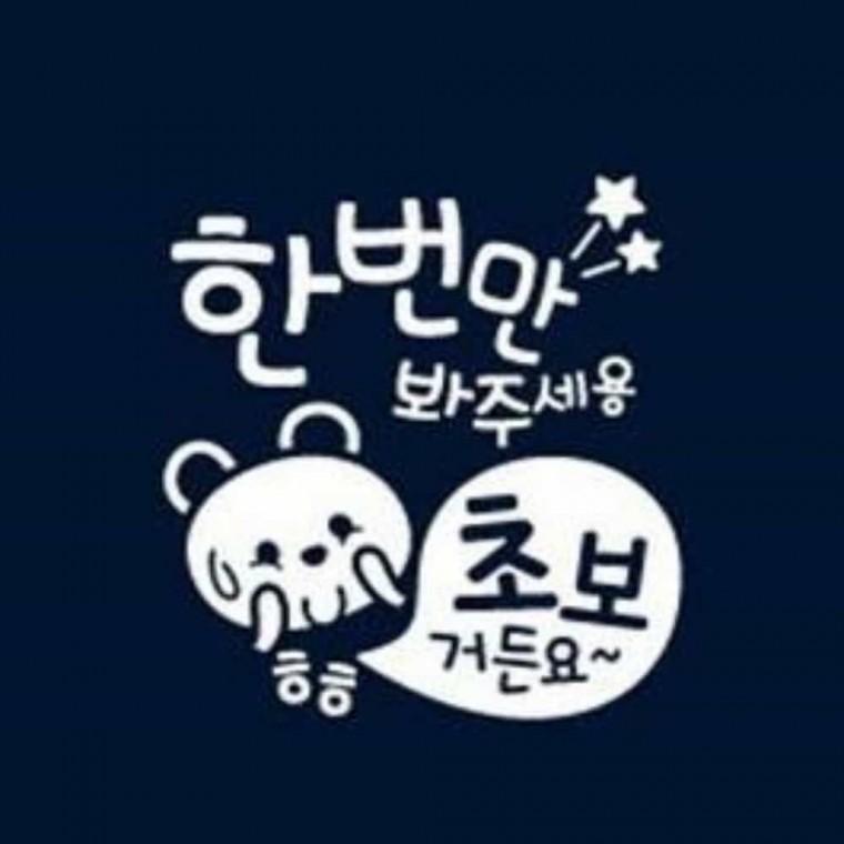 자동차스티커 자동차반사스티커 초보운전문구 자동차레터링