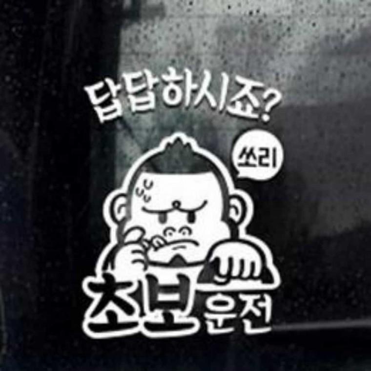 자동차스티커 왕초보스티커 차량용스티커 초보스티커